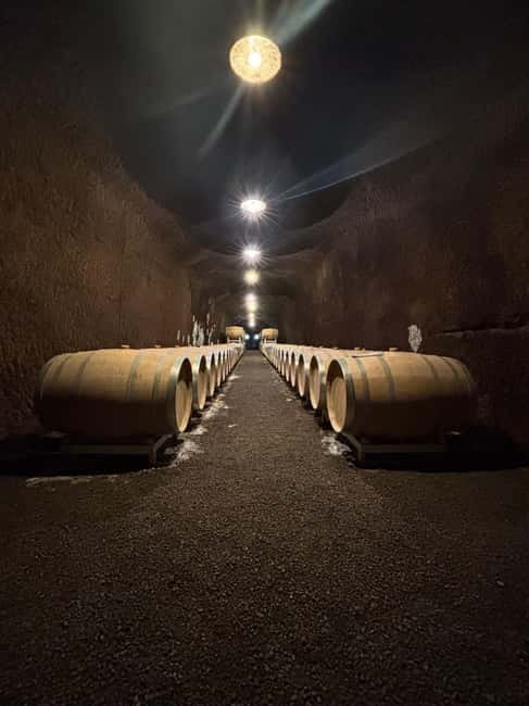 Orvieto: Guided 2-hour Winery Tour with Wine Tasting - Why This Tour Is Worth Your Time