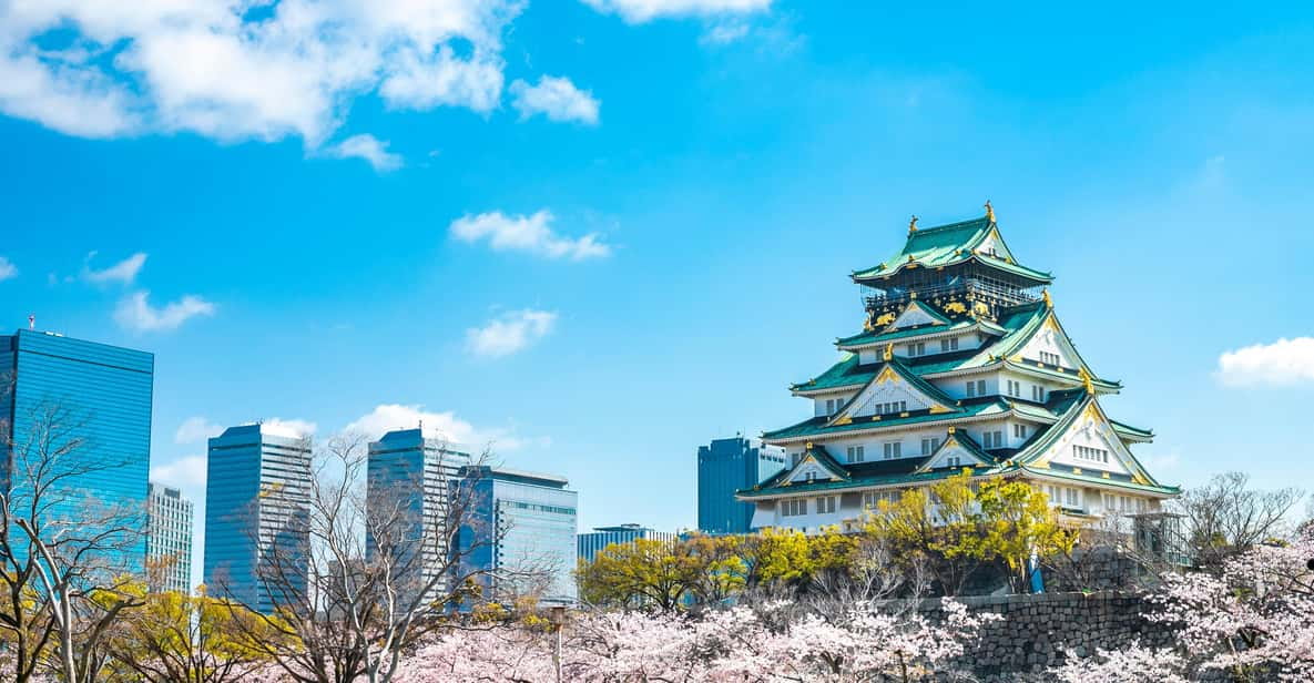 Osaka: 1-Day Private Customizable Trip by Car - Key Points