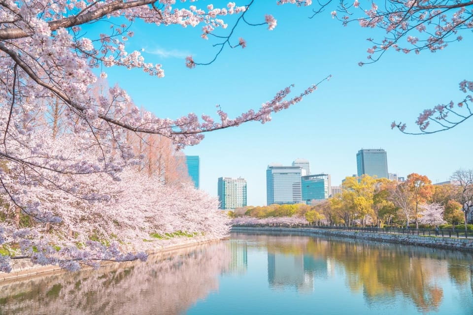 Osaka: 1-Day Private Customizable Trip by Car - Customizable Experiences