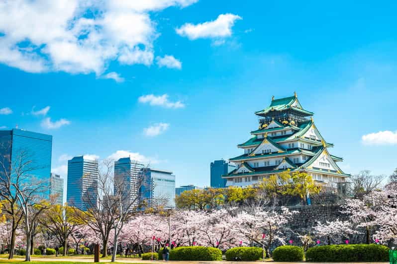 Osaka: 1-Day Private Customizable Trip by Car - Getting Started