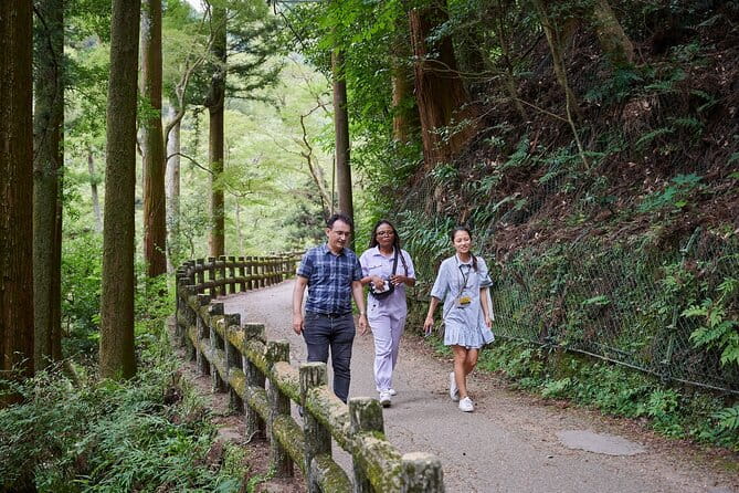 Osaka: 2.5-Hour Private Scenic Hike to Minoo Waterfall - Meeting Point and Logistics