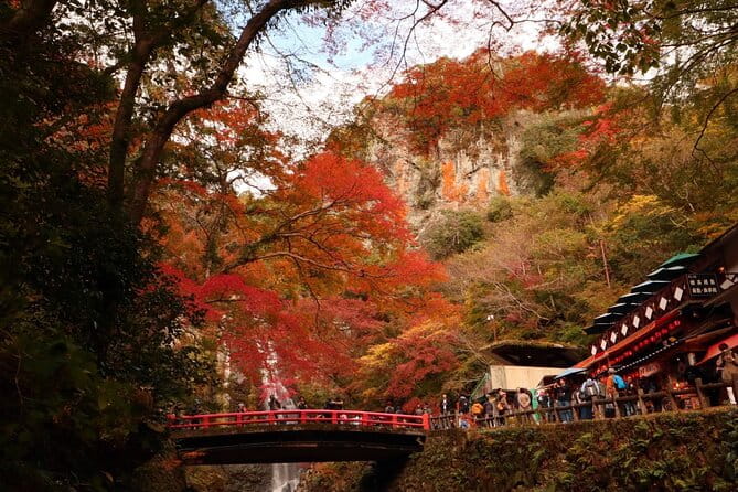Osaka 8 Hours Tour Explore City and Minoh Falls - Taking in the Local Culture