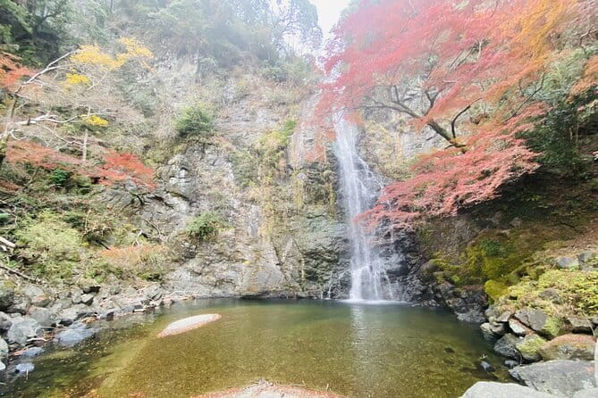 Osaka 8 Hours Tour Explore City and Minoh Falls - Customizing the Experience