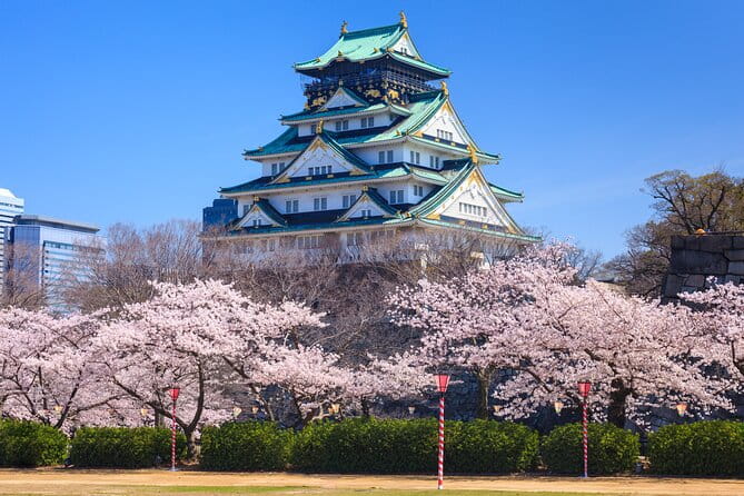 Osaka and Kansai Private Customized Day Tour - Transportation and Accommodation