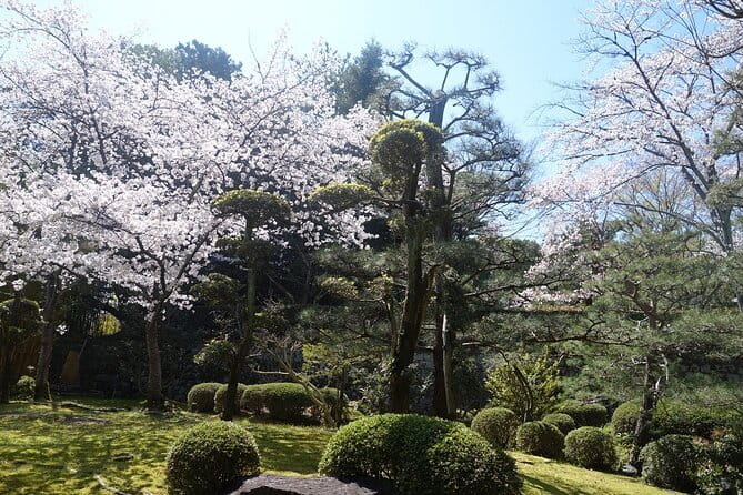 Osaka and Kyoto Stunning Cherry Blossoms and Sakura Cruise Tour - Cancellation and Refund Policies