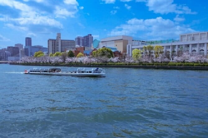 Osaka and Kyoto Stunning Cherry Blossoms and Sakura Cruise Tour - What to Expect on the Tour