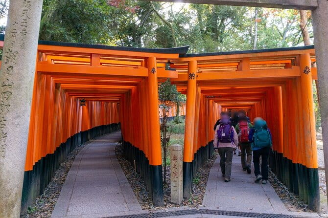 Osaka and Kyoto With National Licensed Guide by Private Car - Accessibility and Physical Requirements