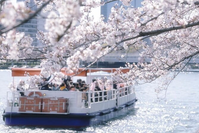 Osaka Cherry Blossom Tour With a Local: 100% Personalized Private - Flexible Meeting Arrangements for Your Convenience