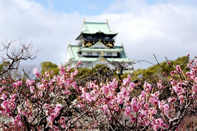 Osaka Cherry Blossom Tour With a Local: 100% Personalized Private - Whats Included in Your Tour Package