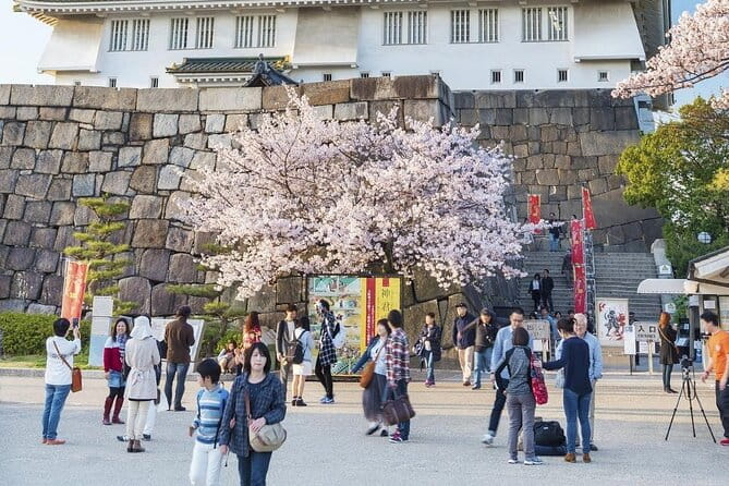 Osaka Cherry Blossom Tour With a Local: 100% Personalized Private - Hear From Previous Guests: Reviews and Feedback