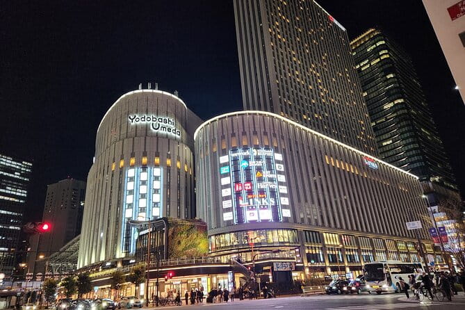 Osaka City Highlights Tour! - Accessibility and Participation