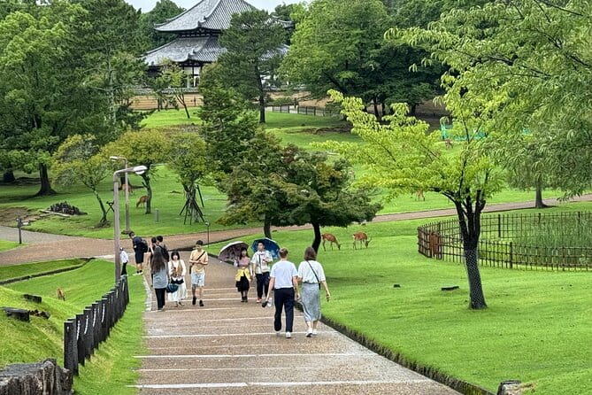 Osaka/Kyoto and Nara Private Tour With English Speaking Guide - Customer Experience and Feedback