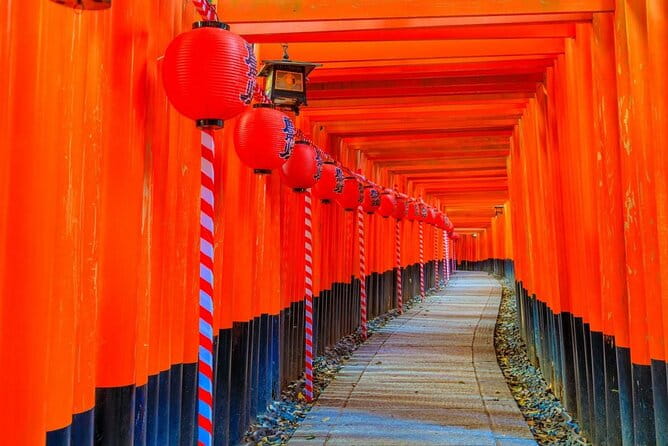 Osaka & Kyoto & Nara Top Hightlights English Speaking Tour - Customer Feedback