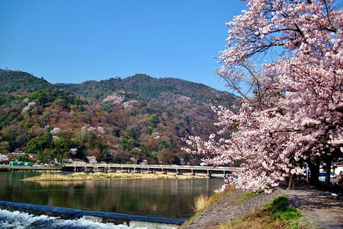 Osaka: Kyoto Scenic Day & Night Bus Tour With Dinner (Kobe Beef) - Meeting Point and Transportation