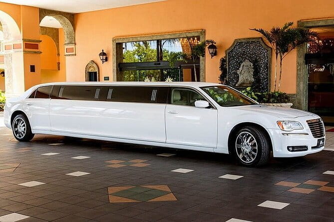 Osaka Limousine Photoshoot & Party Tour - Food and Drinks to Enhance Your Tour