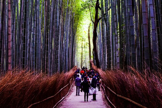 Osaka, Nara and Kyoto Day Trip With English Speaking Driver - Inclusions of the Tour