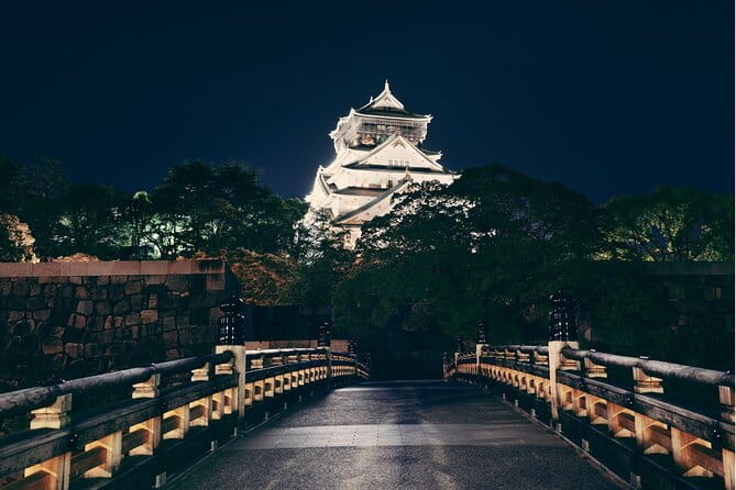 Osaka : Private Custom Walking Tour With a Guide (Private Tour) - Accessibility and Participation