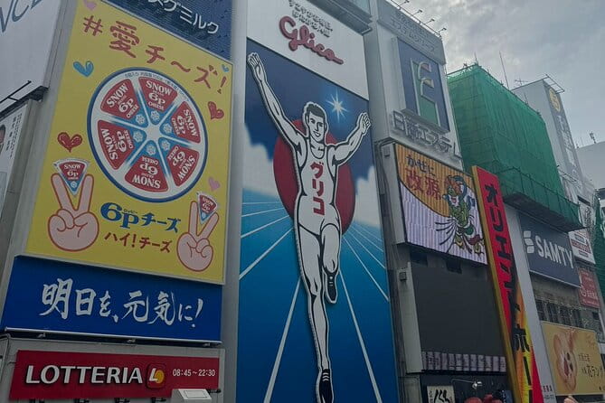 Osaka Private Customizable Sightseeing Tour With Chauffeur - Booking Process and Flexibility