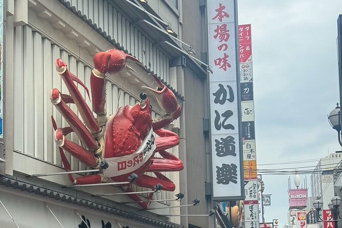 Osaka Private Customizable Sightseeing Tour With Chauffeur - Pricing and Payment Options