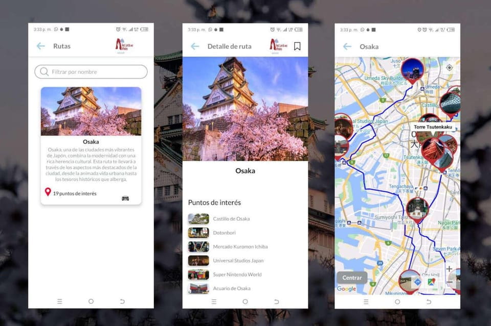 Osaka Self-Guided App With Multi-Language Audio Guide - Customization Options