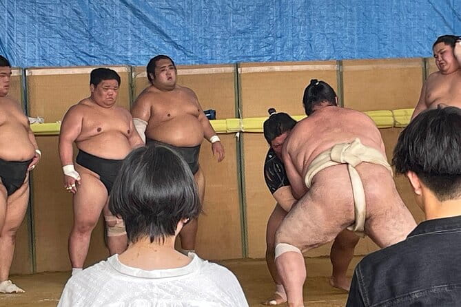 Osaka Sumo Morning Practice Watching Experience - Key Points