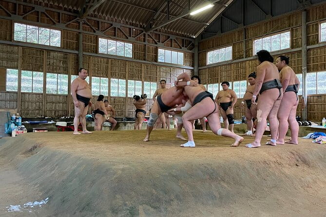 Osaka Sumo Morning Practice Watching Experience - Schedule and Timing