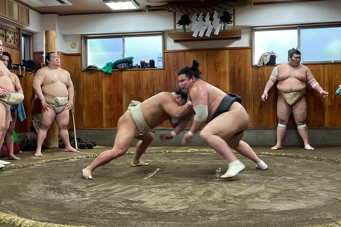 Osaka Sumo Morning Practice Watching Experience - About the Tour Operator