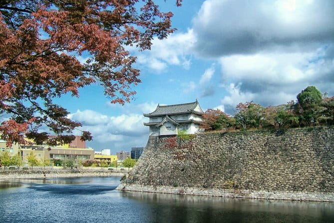 Osaka Walking Tour With a Licensed Guide - Booking Information