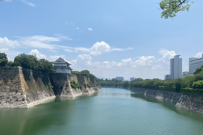 Osakas Anime Culture and History Walking Tour With a Local Guide - Additional Tour Options