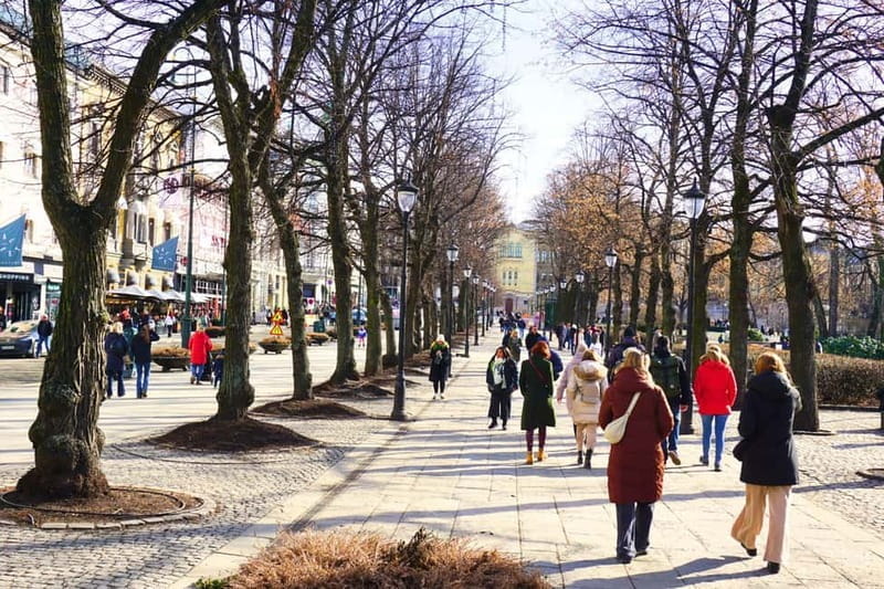 Oslo: City Tour with Traditional Norwegian Lunch or Dinner - Who Might Want to Consider Other Options?