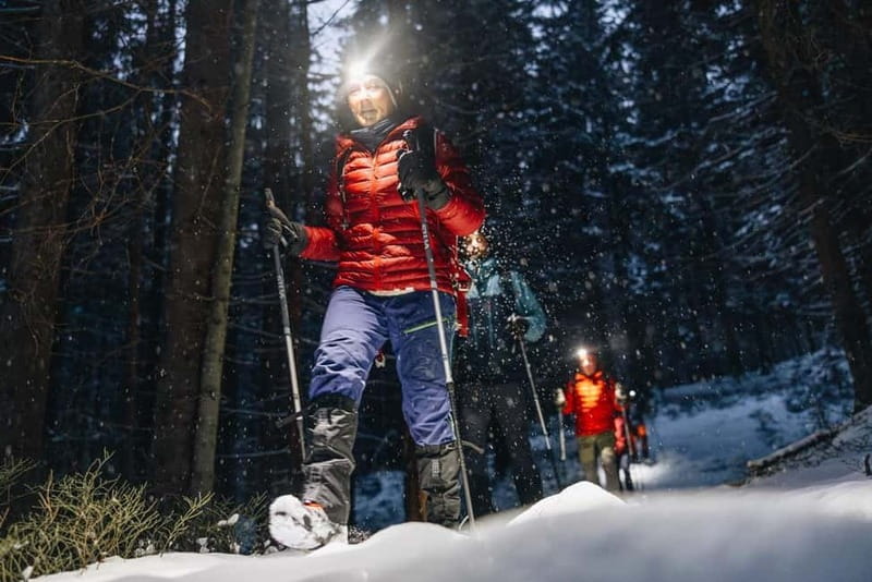 Oslo Forest: Private Mystery Nocturne Walk with Headlamps - Entering the Night in Oslo’s Forest: What to Expect