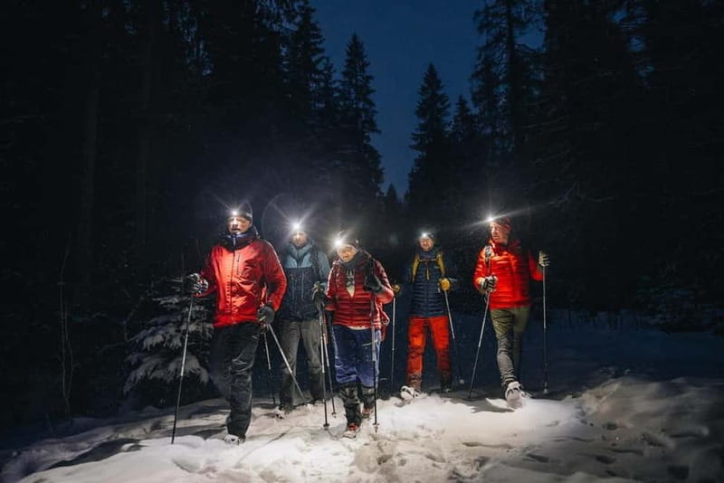Oslo Forest: Private Mystery Nocturne Walk with Headlamps - Who Will Love This Tour?