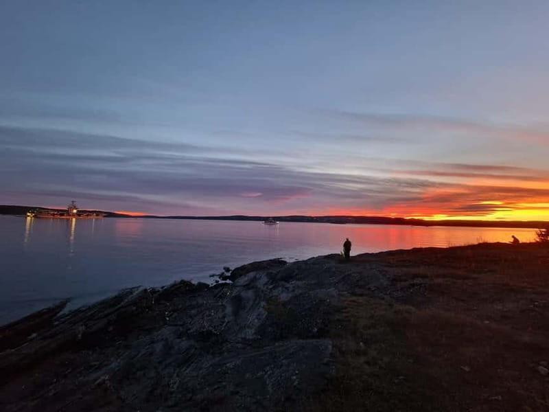 Oslo: Malmøya Island Guided Hike with Waffle and Drink - Discovering Malmøya: A Scenic Getaway Close to Oslo