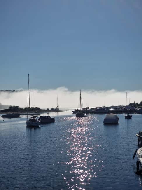 Oslo: Malmøya Island Guided Hike with Waffle and Drink - Who Would Love This Tour?