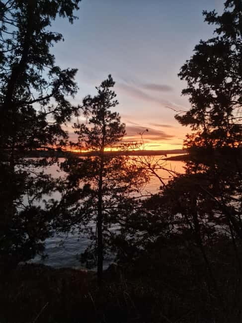 Oslo: Malmøya Island Guided Hike with Waffle and Drink - Price and Practical Considerations