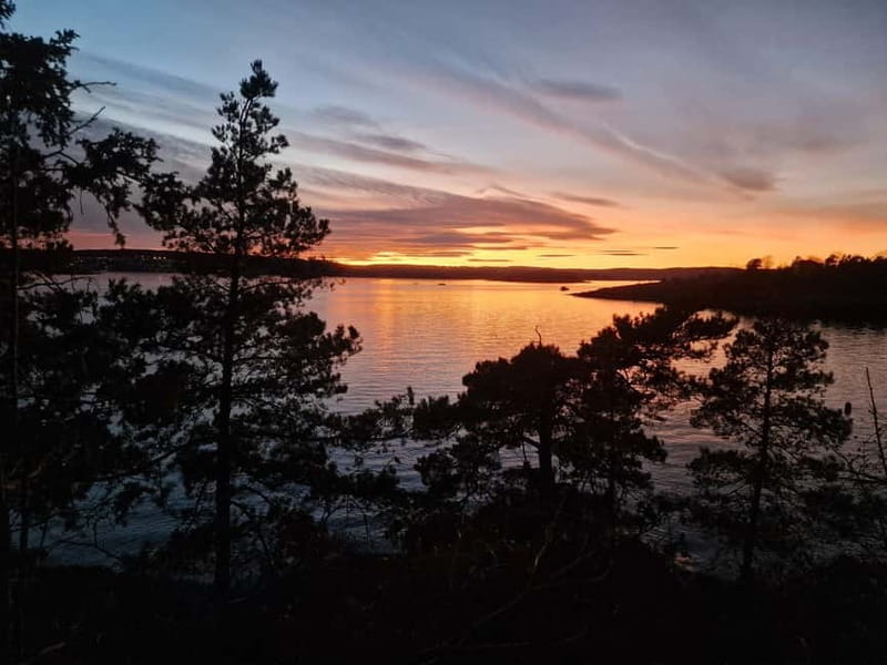 Oslo: Malmøya Island Guided Hike with Waffle and Drink - The Sum Up: A Natural Escape with Local Charm