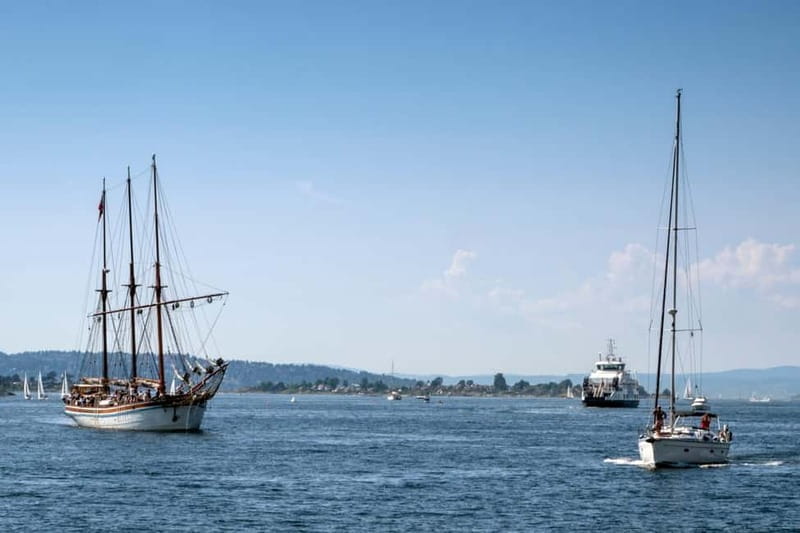 Oslo Old Town Walking Tour and Fjord Cruise Tickets - Who Is This Tour Best For?