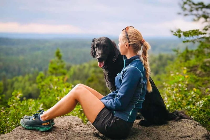 Oslo: Scenic Forest Hike with Dog & Local Guide - Unique Highlights and Authentic Touches