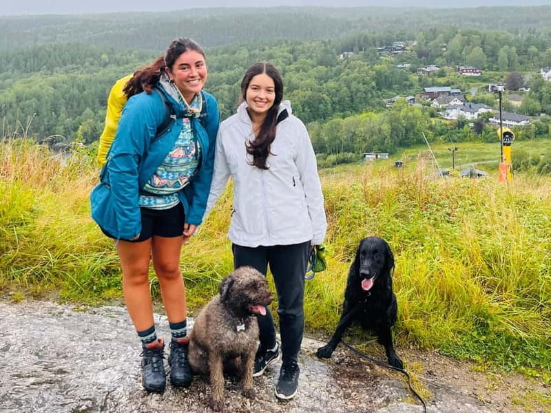 Oslo: Scenic Forest Hike with Dog & Local Guide - Who Will Love This Experience?