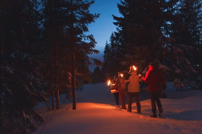 Oslo: Snowy Forest Torchlight Walk with Campfire - FAQs about Oslo’s Snowy Forest Torchlight Walk