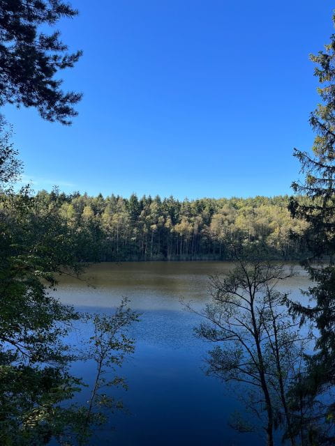 Oslo: Yoga & Hiking with a dog - Key Points / Takeaways