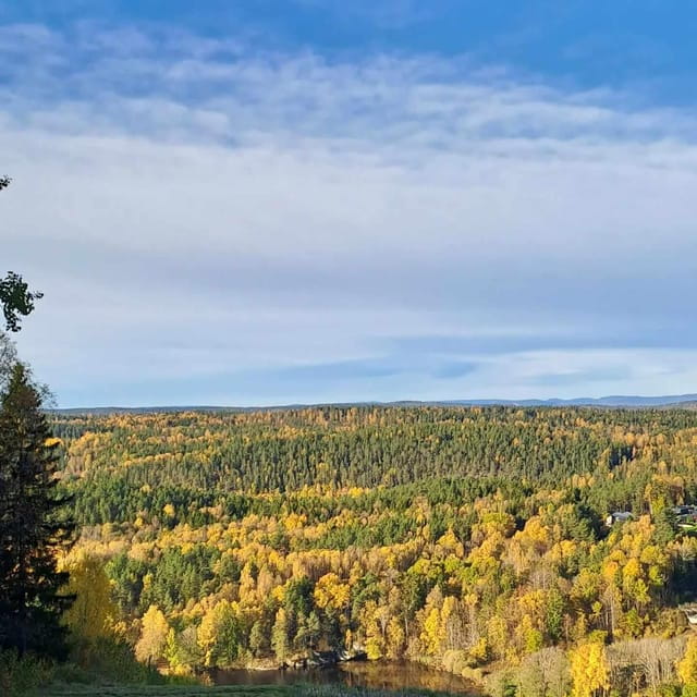 Oslo: Yoga & Hiking with a dog - Who This Tour Is Best For