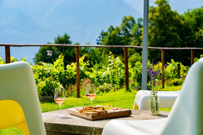 Ossola Valley Winery Tour With Tastings - Historic Vineyards of Ossola Valley