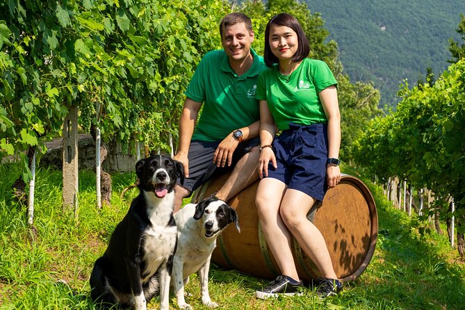 Ossola Valley Winery Tour With Tastings - Pickup Service From Domodossola Train Station