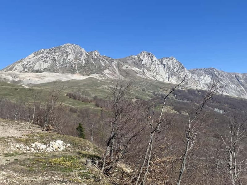 Ostrovica Mountain Hiking Adventure - Practical Details: What You Should Know