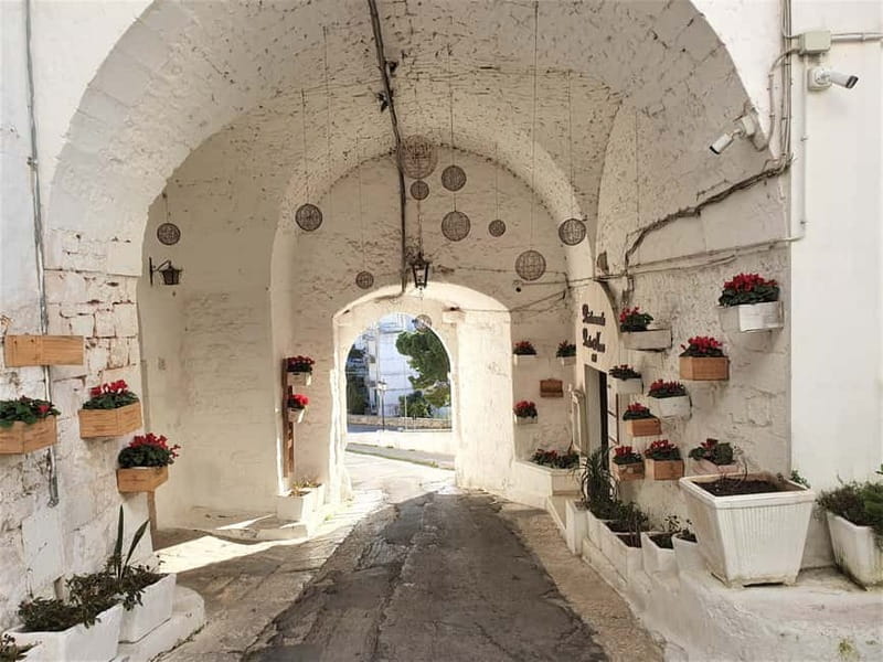 Ostuni: Alberobello, Locorotondo, Ostuni & Apulian brunch - Who Will Love This Tour?