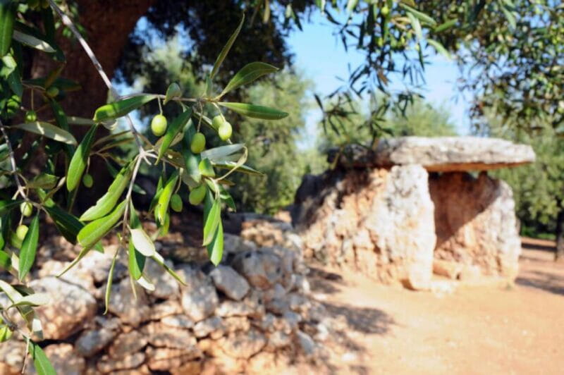 Ostuni e-bike tour. The olive trees and a local oil mill - Key points / Takeaways