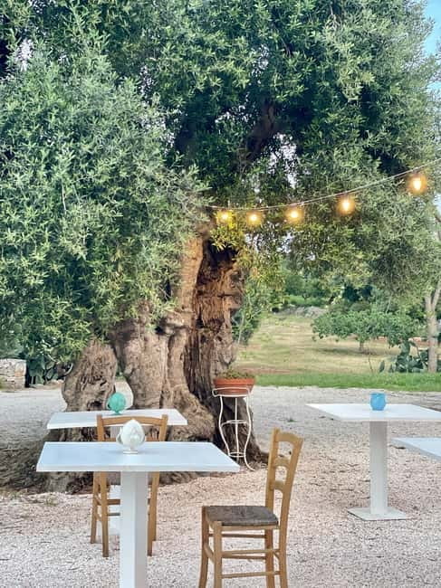 Ostuni: Farm tour among thousand-year-old olive trees with oil tasting - A Closer Look at the Olive Oil Farm Tour Near Ostuni