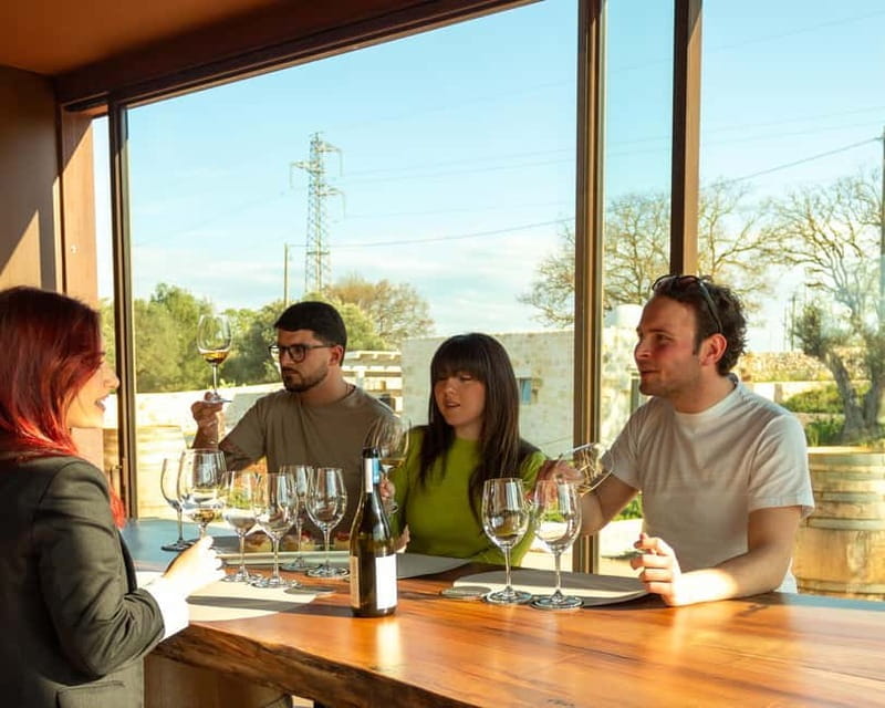 Ostuni organic wines - tour and tasting in the winery - Key points / Takeaways