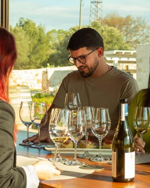 Ostuni organic wines - tour and tasting in the winery - Exploring the Experience Step-by-Step